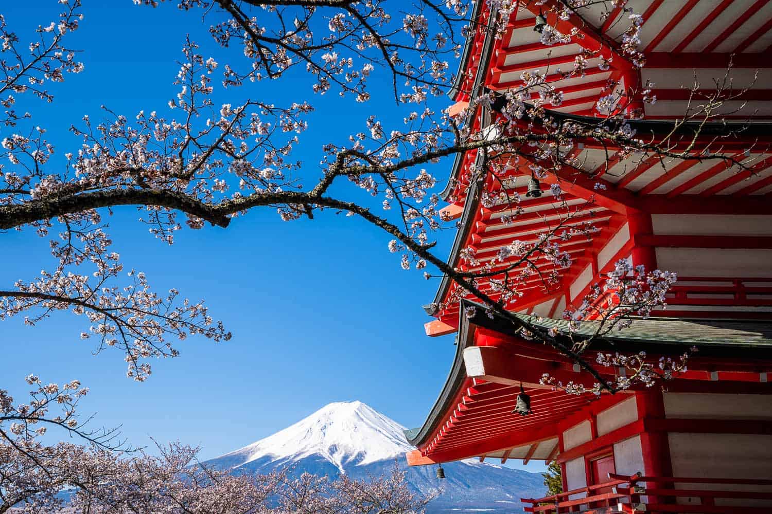 Top things to do in japan for an unforgettable trip